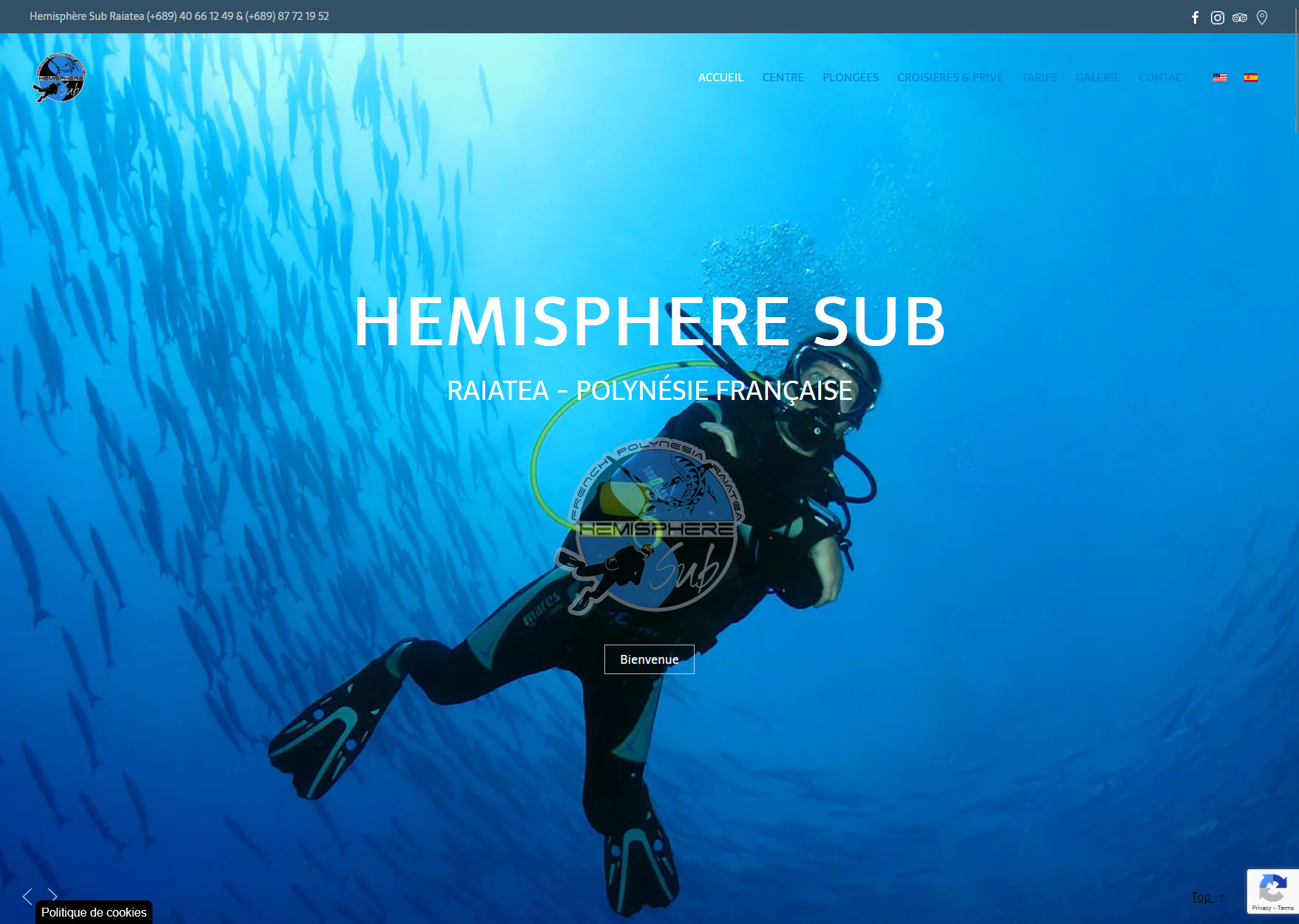 Hemisphere Sub