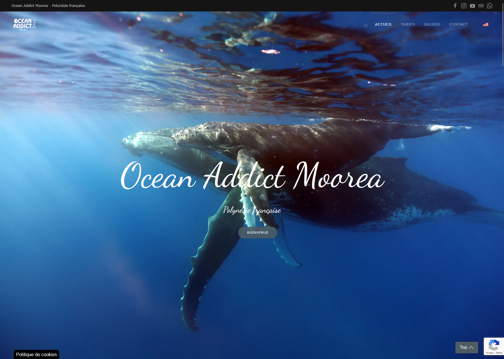 Ocean Addict Moorea