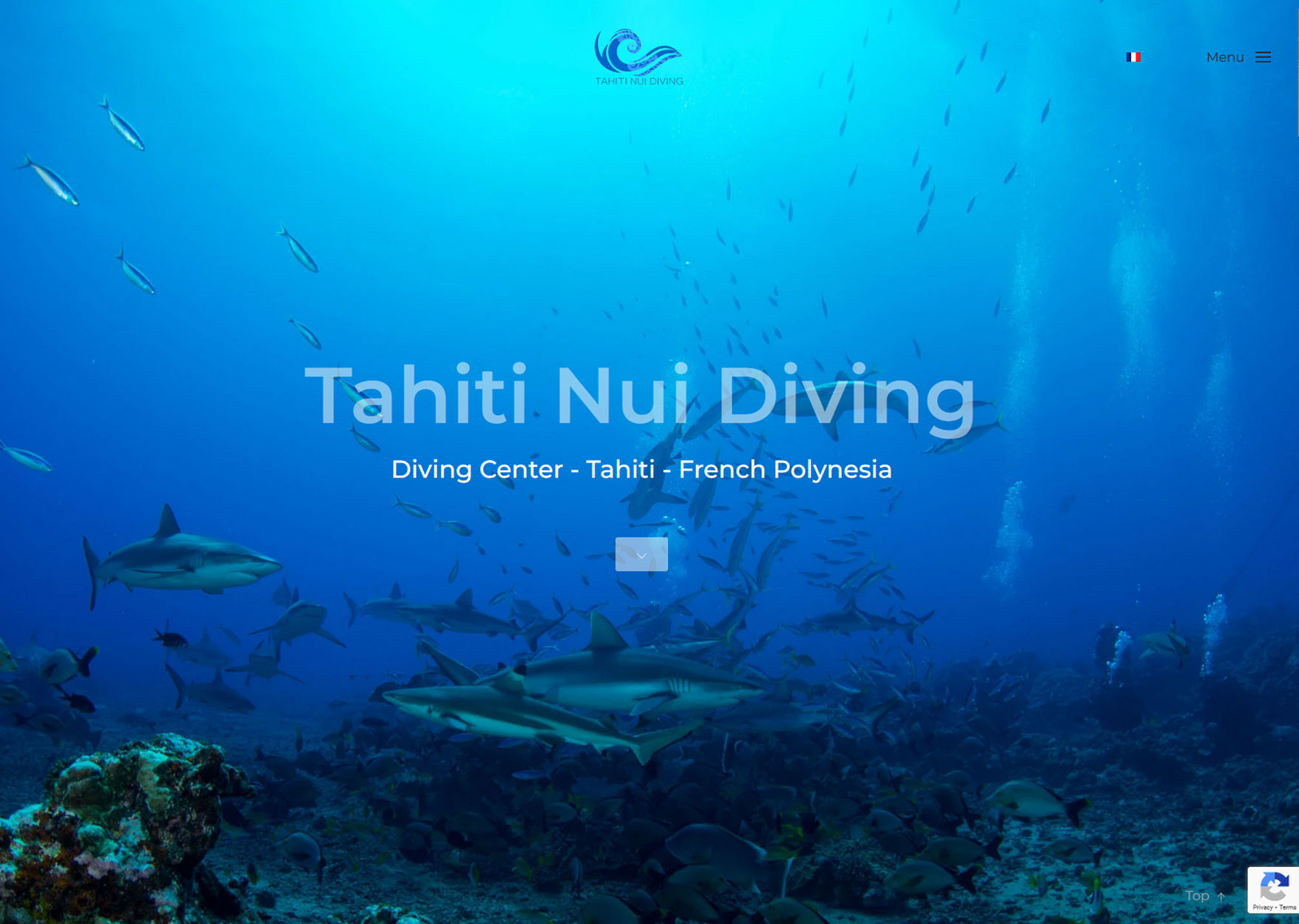 Tahiti Nui Diving