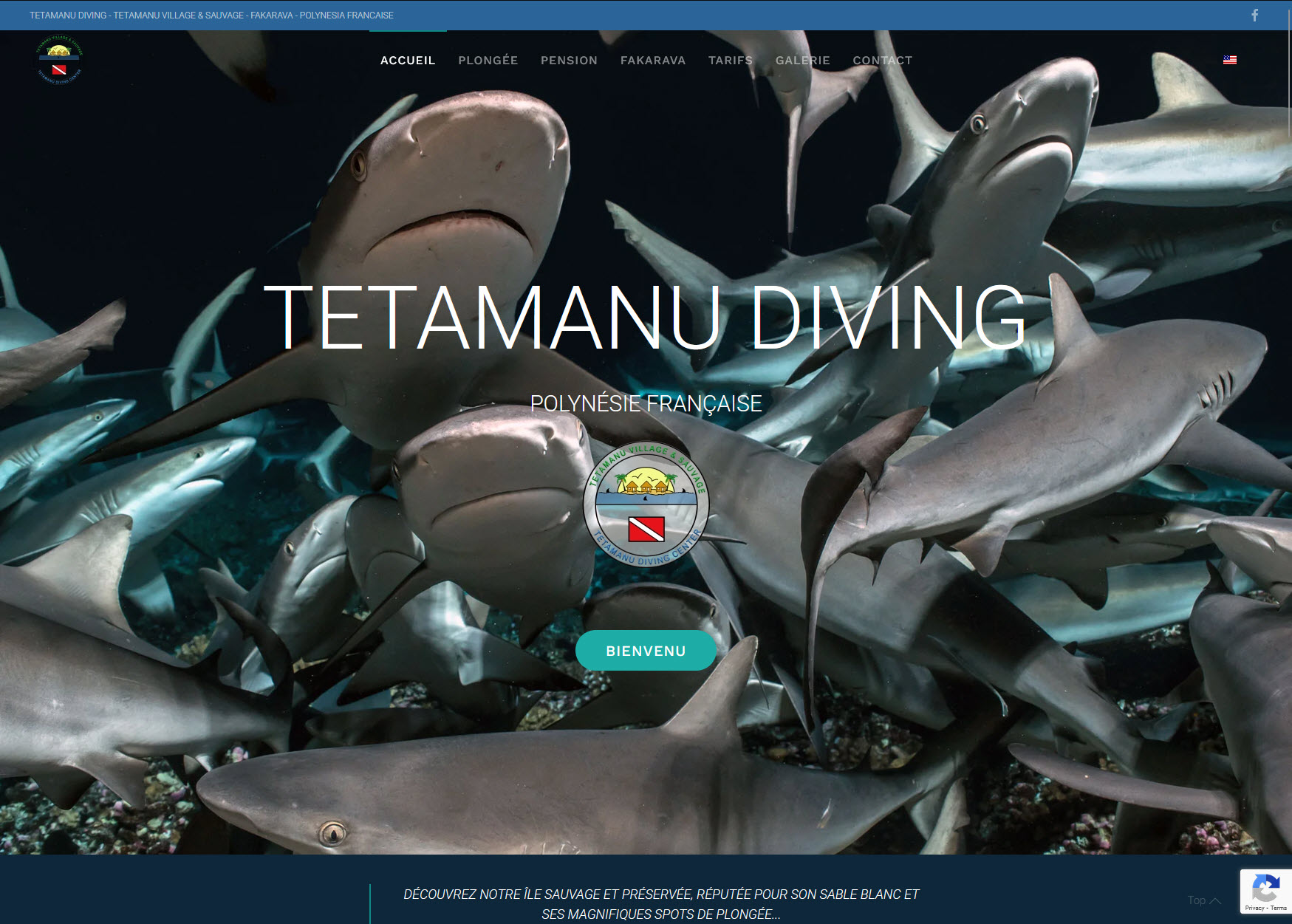 Tetamanu Diving